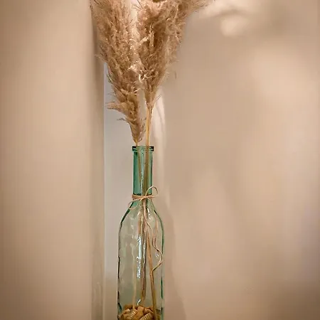 Vins De Dagne 4* Montlaur